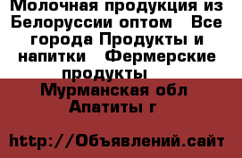 Молочная продукция из Белоруссии оптом - Все города Продукты и напитки » Фермерские продукты   . Мурманская обл.,Апатиты г.